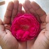 .raiyan03