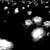 pon_5220