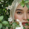 dian55797