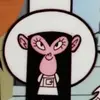 mincchisa
