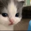 .milky.pubgm
