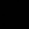 vianeeyml0001