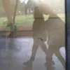prvtscrl
