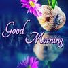 bd.akbor.ahmed