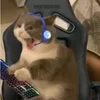 voltzy_pc
