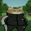 gordonnjaha