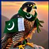 zubairawanattock