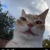 goracamamuska69