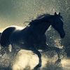 user1560108167178