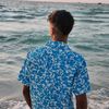 mohamed__vp1