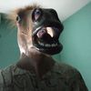 horsemaskbob
