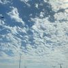 a_m_f2030