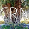 crnmoratalla