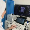 Dr. seba hammadeh