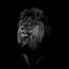 yassen_hassan22