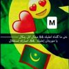 medboss41443634
