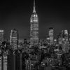 nycfree