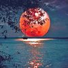 moonglazing101