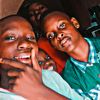 sire_maf