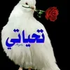 user2737472519774