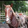 rancho.humilde331