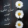 pasha123456123456