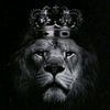 mr_tareq1