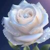 user1308123142326
