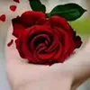 umer76bqcavgfcvxafad