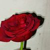 deactiveacc000