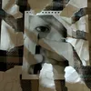ramildiaz3