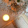 jannatul.jannat775