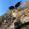 rovsen_museyib_rustem1