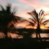 tianawafika