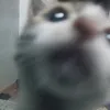 mo_to0107