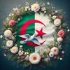 amirahakim38