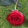 kashe.jaan