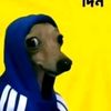 mirhan_69