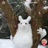 susuz_heyat