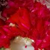 itx_inocent_girl1234