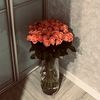 ussers_775
