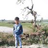 user5199810635062