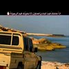 alziraboasd270