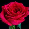bilal.hussain9711