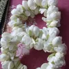 user44600088783648anna