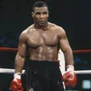 peekaboo_boxer