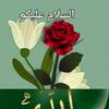 user640730420
