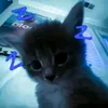 stayak_ranalda777