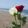 abdul.malik344