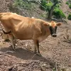 jorgehortua6